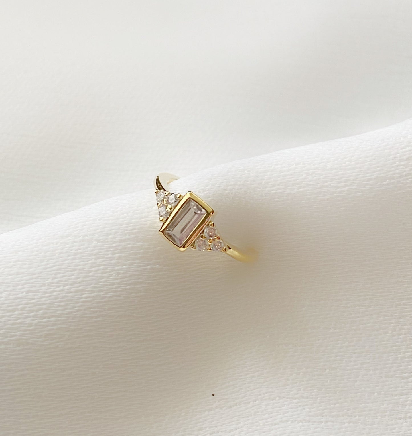 Swan